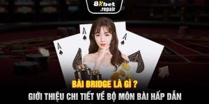 Bài Bridge Là Gì? Giới Thiệu Chi Tiết Về Bộ Môn Bài Hấp Dẫn