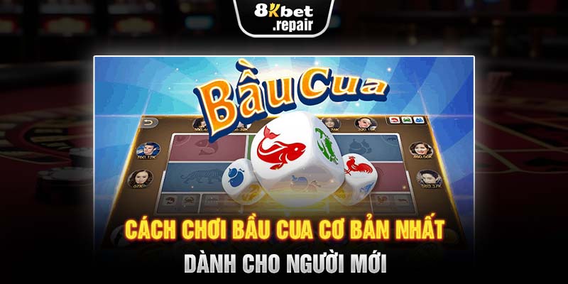 Cách chơi bầu cua cơ bản nhất dành cho người mới