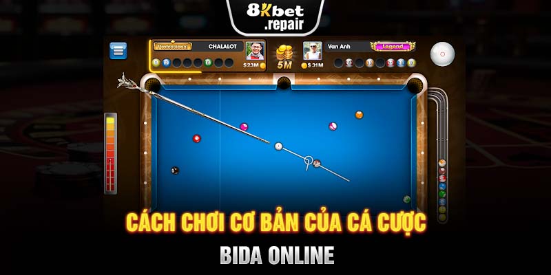 Cách chơi cơ bản của cá cược bida online