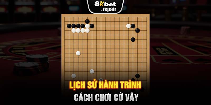 Lịch sử hành trình cách chơi cờ vây