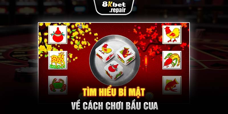 Tìm hiểu bí mật về cách chơi bầu cua